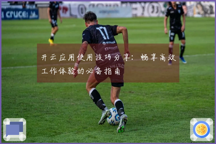 开云应用使用技巧分享：畅享高效工作体验的必备指南