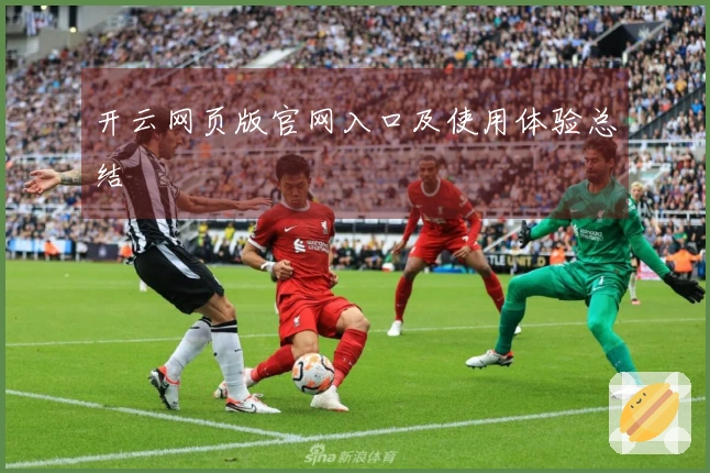 开云网页版官网入口及使用体验总结